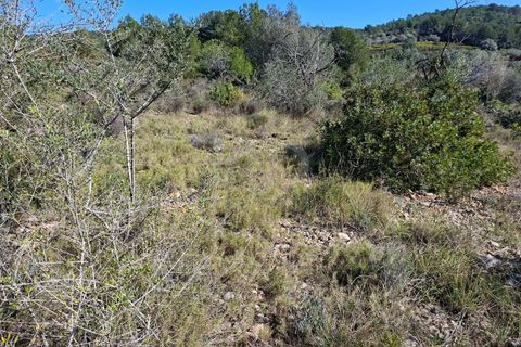 Tomt i Tarragona, Tarragona, Tarragona - € 70 000 | Ref: 807499 - foto 15