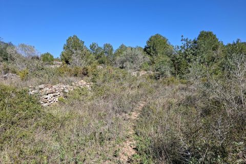 Tomt i Tarragona, Tarragona, Tarragona - € 70 000 | Ref: 807499 - foto 17