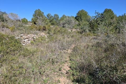 Tomt i Tarragona, Tarragona, Tarragona - € 70 000 | Ref: 807499 - foto 20