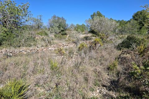 Tomt i Tarragona, Tarragona, Tarragona - € 70 000 | Ref: 807499 - foto 21