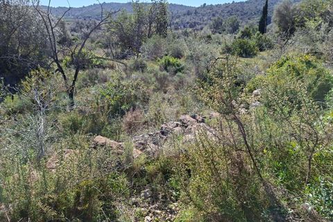 Tomt i Tarragona, Tarragona, Tarragona - € 70 000 | Ref: 807499 - foto 22