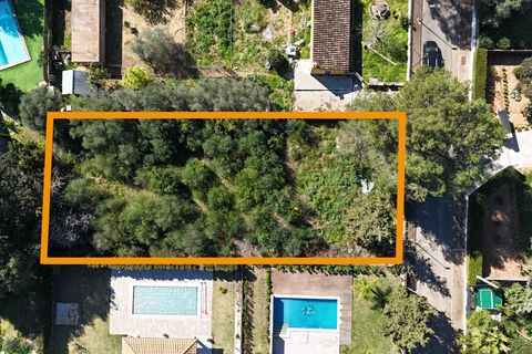 Tomt i Sa Pobla, Mallorca, Sa Pobla - € 324 000 | Ref: FALC-StBa-79915 - foto 2