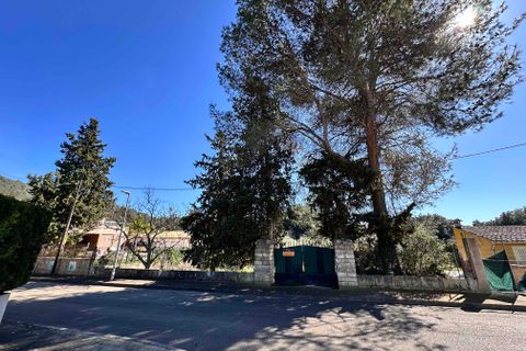 Tomt i Sa Pobla, Mallorca, Sa Pobla - € 324 000 | Ref: FALC-StBa-79915 - foto 5