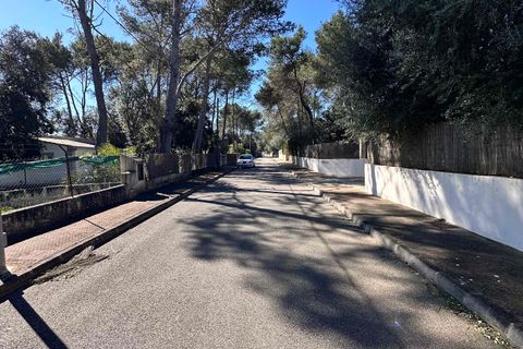 Tomt i Sa Pobla, Mallorca, Sa Pobla - € 324 000 | Ref: FALC-StBa-79915 - foto 6