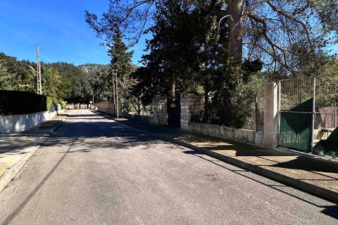 Tomt i Sa Pobla, Mallorca, Sa Pobla - € 324 000 | Ref: FALC-StBa-79915 - foto 7