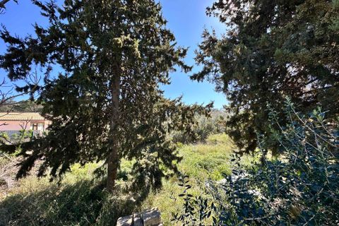 Tomt i Sa Pobla, Mallorca, Sa Pobla - € 324 000 | Ref: FALC-StBa-79915 - foto 9