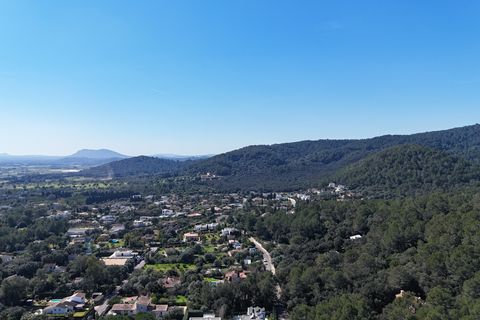 Tomt i Sa Pobla, Mallorca, Sa Pobla - € 324 000 | Ref: FALC-StBa-79915 - foto 11