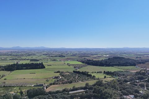 Tomt i Sa Pobla, Mallorca, Sa Pobla - € 324 000 | Ref: FALC-StBa-79915 - foto 12