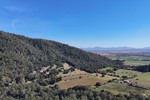 Tomt i Sa Pobla, Mallorca, Sa Pobla - € 324 000 | Ref: FALC-StBa-79915 - foto 13