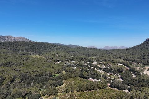 Tomt i Sa Pobla, Mallorca, Sa Pobla - € 324 000 | Ref: FALC-StBa-79915 - foto 14