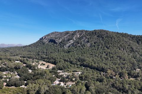 Tomt i Sa Pobla, Mallorca, Sa Pobla - € 324 000 | Ref: FALC-StBa-79915 - foto 15