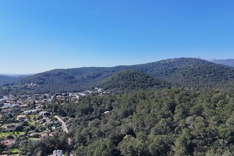 Tomt i Sa Pobla, Mallorca, Sa Pobla - € 324 000 | Ref: FALC-StBa-79915 - foto 18