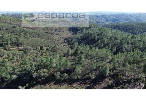 Helårsgrund i Castelo Branco, Castelo Branco, Castelo Branco - € 37.500 | Ref: 5666/EG - foto 4