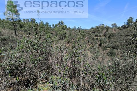Helårsgrund i Castelo Branco, Castelo Branco, Castelo Branco - € 37.500 | Ref: 5666/EG - foto 9