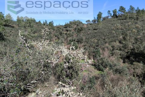 Helårsgrund i Castelo Branco, Castelo Branco, Castelo Branco - € 37.500 | Ref: 5666/EG - foto 10