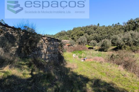 Terra a Castelo Branco, Castelo Branco, Castelo Branco - € 21.000 | Ref: 5665/EG - foto 2