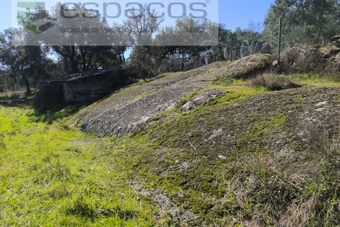Terra a Castelo Branco, Castelo Branco, Castelo Branco - € 21.000 | Ref: 5665/EG - foto 3