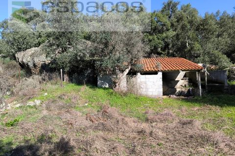 Terra a Castelo Branco, Castelo Branco, Castelo Branco - € 21.000 | Ref: 5665/EG - foto 6