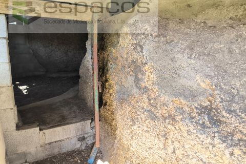 Terra a Castelo Branco, Castelo Branco, Castelo Branco - € 21.000 | Ref: 5665/EG - foto 7