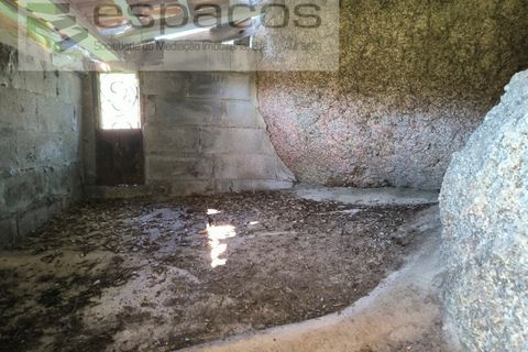 Terra a Castelo Branco, Castelo Branco, Castelo Branco - € 21.000 | Ref: 5665/EG - foto 8