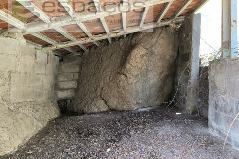 Terra a Castelo Branco, Castelo Branco, Castelo Branco - € 21.000 | Ref: 5665/EG - foto 9