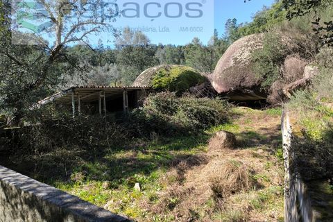 Terra a Castelo Branco, Castelo Branco, Castelo Branco - € 21.000 | Ref: 5665/EG - foto 10