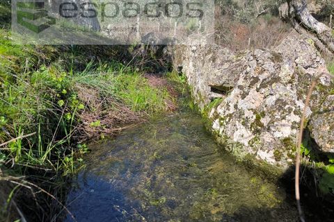 Terra a Castelo Branco, Castelo Branco, Castelo Branco - € 21.000 | Ref: 5665/EG - foto 12