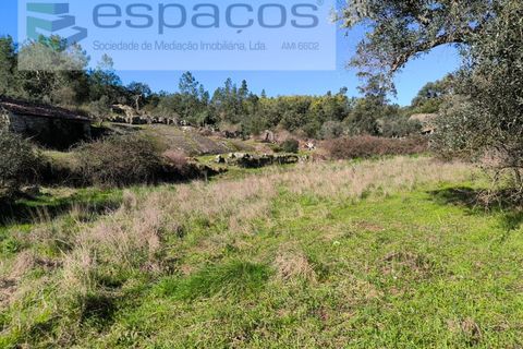 Terra a Castelo Branco, Castelo Branco, Castelo Branco - € 21.000 | Ref: 5665/EG - foto 17