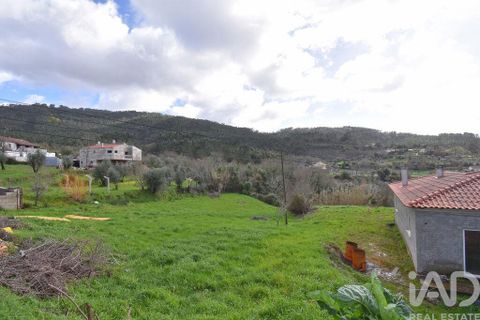 Helårsgrund i Penela, Coimbra, Penela - € 150.000 | Ref: 825541 - foto 29