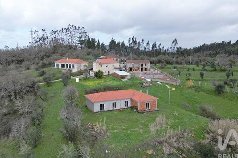 Helårsgrund i Penela, Coimbra, Penela - € 150.000 | Ref: 825541 - foto 32