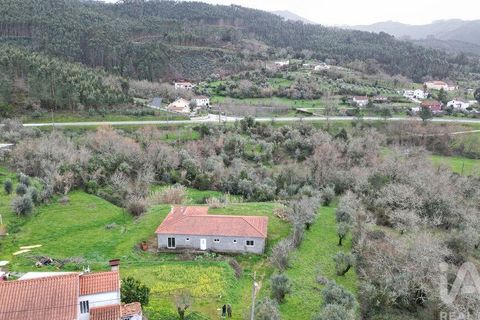 Helårsgrund i Penela, Coimbra, Penela - € 150.000 | Ref: 825541 - foto 35