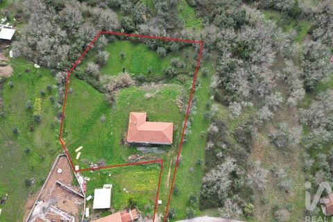 Helårsgrund i Penela, Coimbra, Penela - € 150.000 | Ref: 825541 - foto 36