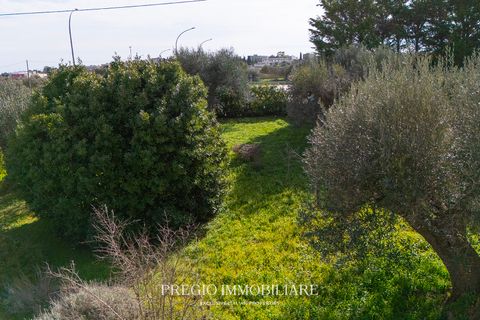 Villa a Cisternino, Brindisi, Cisternino - € 465.000 | Ref: 9113RV46784 - foto 33
