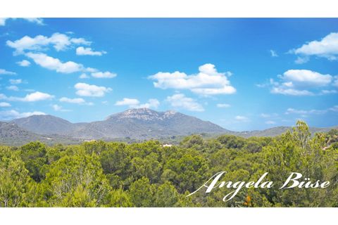 Rækkehus i Cala Murada, Mallorca, Cala Murada - € 420.000 | Ref: FEI24 - foto 32