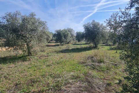 Finca i Bovera, Lerida, Bovera - € 65.000 | Ref: B4 - foto 8