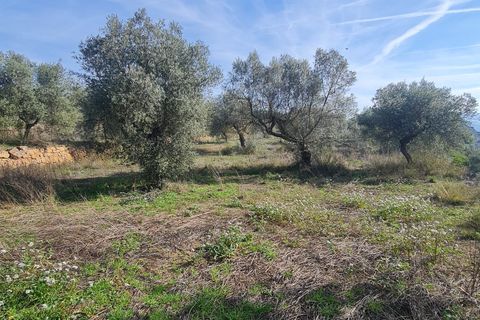 Finca i Bovera, Lerida, Bovera - € 65.000 | Ref: B4 - foto 13