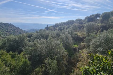 Finca i Bovera, Lerida, Bovera - € 65.000 | Ref: B4 - foto 10
