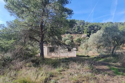Finca i Bovera, Lerida, Bovera - € 65.000 | Ref: B4 - foto 14