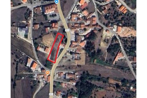 Terra a Turquel, Leiria, Turquel - € 87.500 | Ref: TE1617 - foto 5