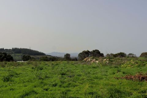 Farm hus i Mafra, Lisbon, Mafra - € 950.000 | Ref: C0362-00874 - foto 38