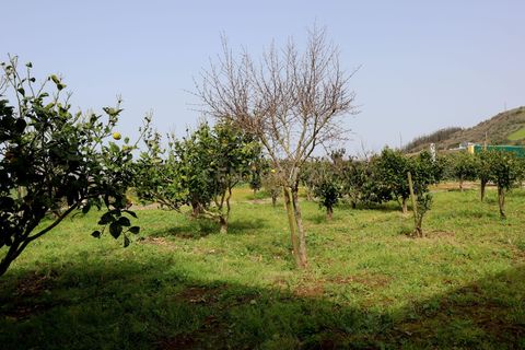 Farm hus i Mafra, Lisbon, Mafra - € 950.000 | Ref: C0362-00874 - foto 41