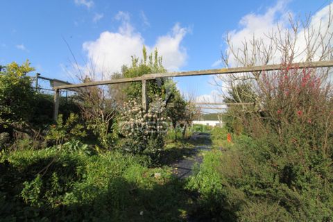 Byhus i Trofa, Porto, Trofa - € 389.000 | Ref: 058418 - foto 22