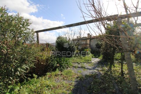 Byhus i Trofa, Porto, Trofa - € 389.000 | Ref: 058418 - foto 25