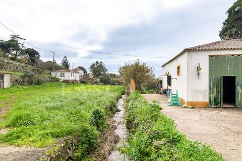 Tomt i Alcabideche, Lisbon, Alcabideche - € 700 000 | Ref: 28-2026 - foto 6