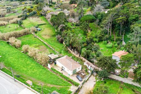 Tomt i Alcabideche, Lisbon, Alcabideche - € 700 000 | Ref: 28-2026 - foto 8