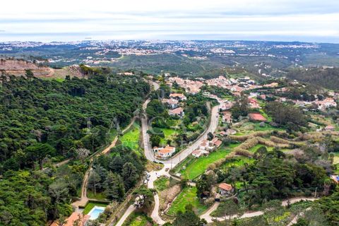 Tomt i Alcabideche, Lisbon, Alcabideche - € 700 000 | Ref: 28-2026 - foto 12