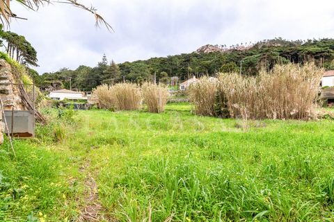 Tomt i Alcabideche, Lisbon, Alcabideche - € 700 000 | Ref: 28-2026 - foto 18