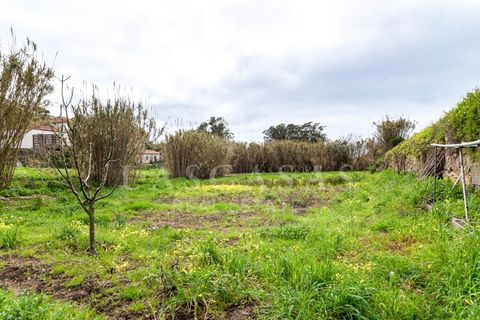 Tomt i Alcabideche, Lisbon, Alcabideche - € 700 000 | Ref: 28-2026 - foto 19