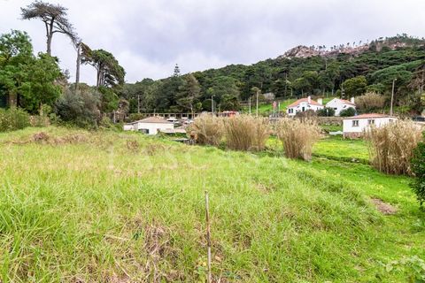 Tomt i Alcabideche, Lisbon, Alcabideche - € 700 000 | Ref: 28-2026 - foto 20