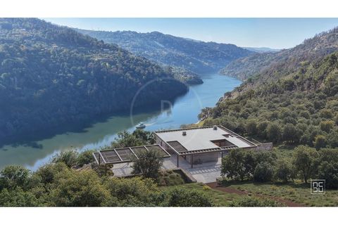 Farm i Ancede e Ribadouro, Porto, Ancede e Ribadouro - € 380.000 | Ref: 7029 - foto 1